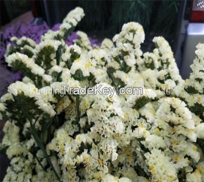 High Quality Salable Bouquet Fresh Cut Flowers White and Light Purple Statice