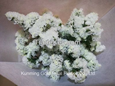 High Quality Salable Bouquet Fresh Cut Flowers White and Light Purple Statice