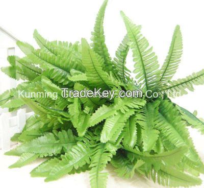 Pretty Decorative Fresh Cut Leaves Nephrolepis