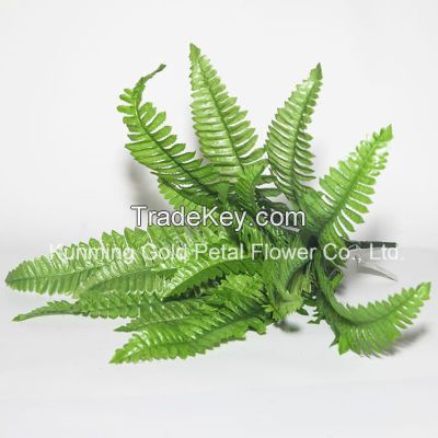 Pretty Decorative Fresh Cut Leaves Nephrolepis