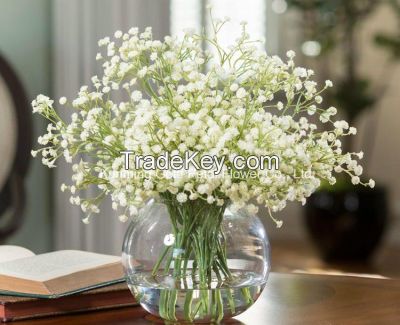 High Quality Fresh Cut Flower Natural Gypsophila