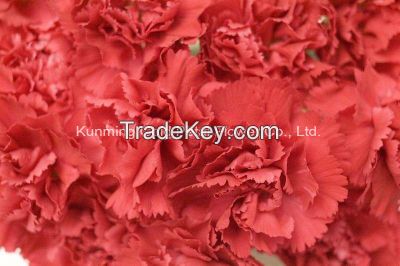 Wholsales Wonderful Quality Fresh Cut Flower Spray Red Carnation