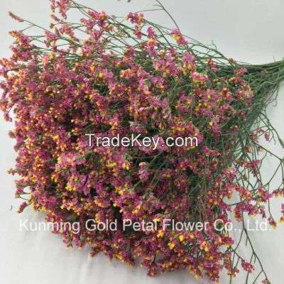 Salable High Quality Fresh Cut Flower Limonium for Wholesale and Decoration