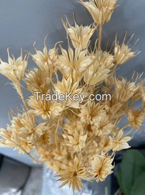 High Quality Fresh Cut Flower Natural Gypsophila