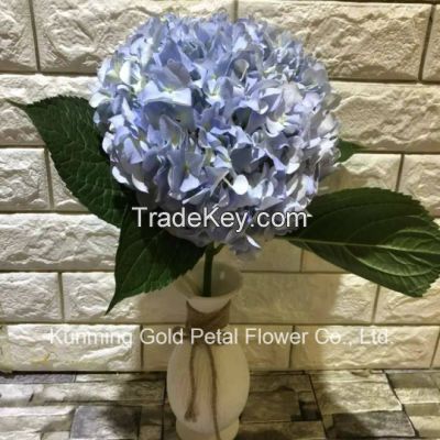 Wholesale Beautiful Fresh Cut Hydrangea Flowers for Weddings Home Office Decoration