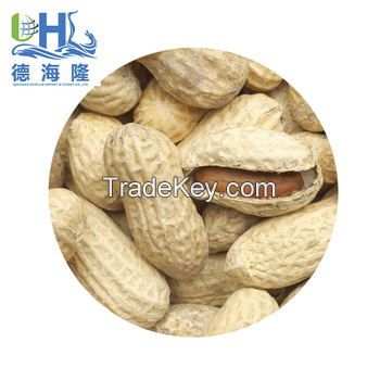 peanuts in shell