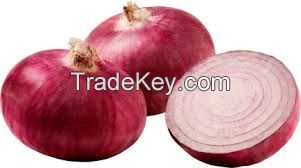 Onion