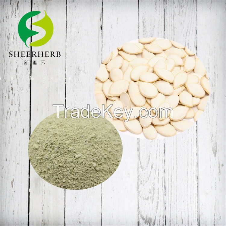 Pumpkin Seed Extract Protein Powder For Health Supplement