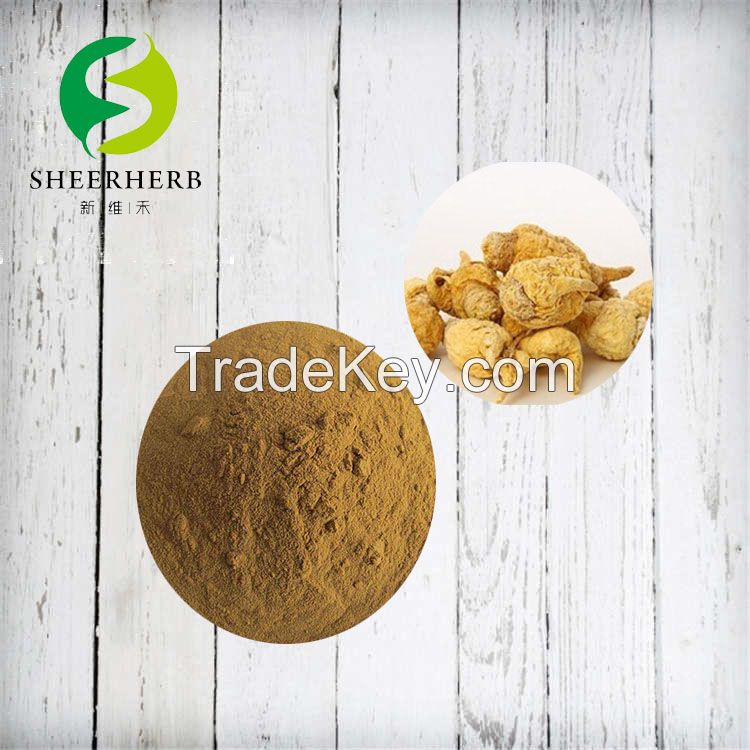 Factory Supply High Standard Extract Top Quality Bulk Extract Maca Powder