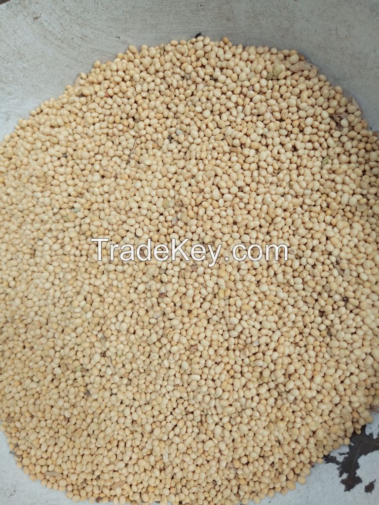 Soybeans