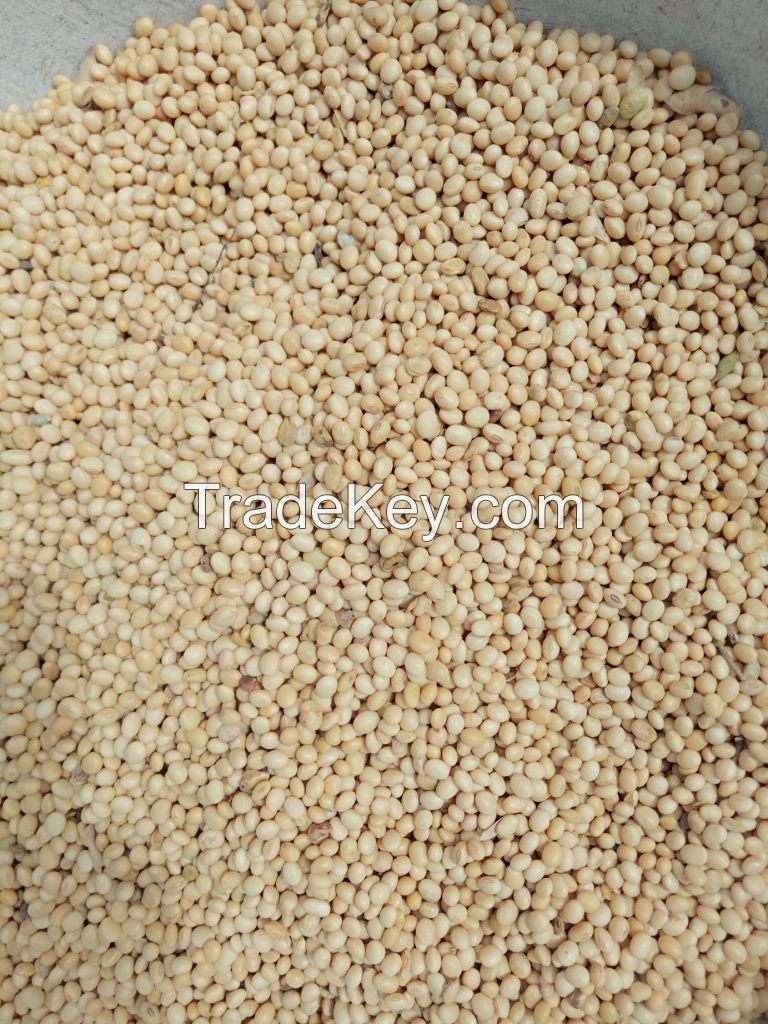 Soybeans
