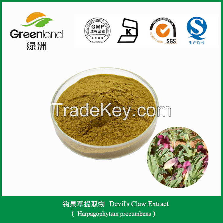 Devil's Claw extract Harpagosides 3%