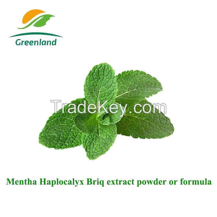 Mint extract powder