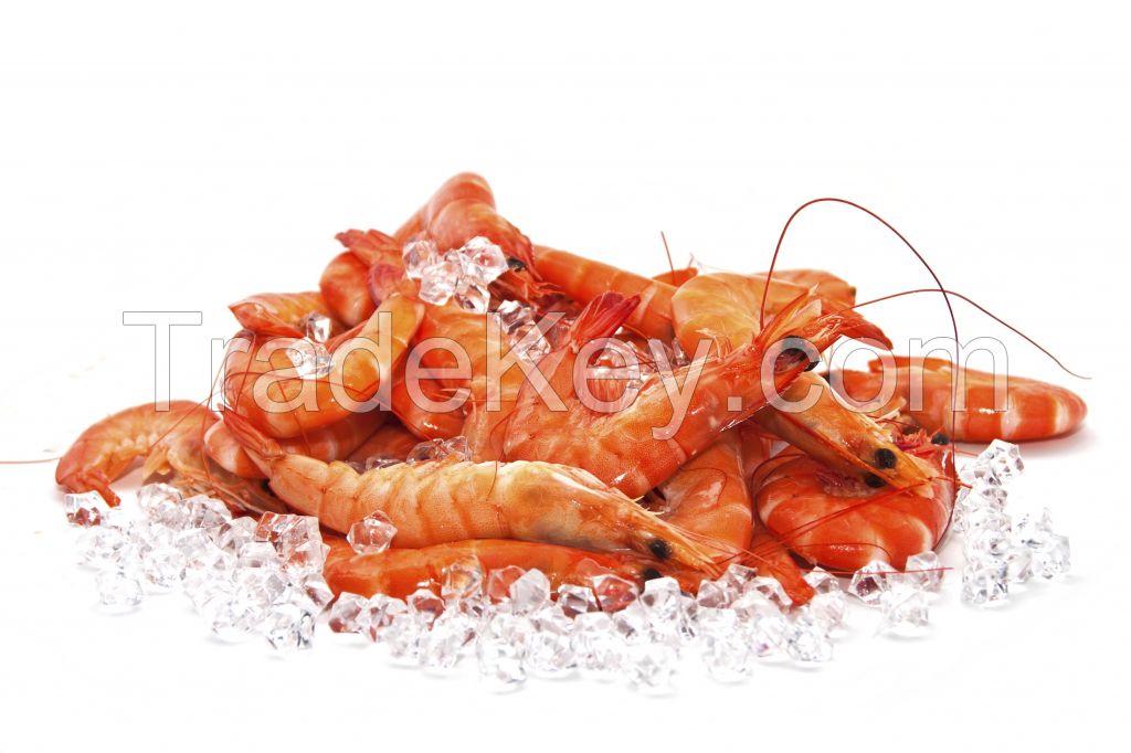 Fresh/Frozen Seafood