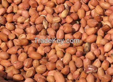 Cashew nuts, Peanuts