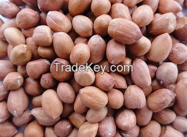 Cashew nuts, Peanuts