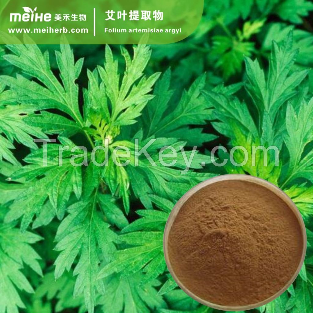 Artemisia Vulgaris Extract