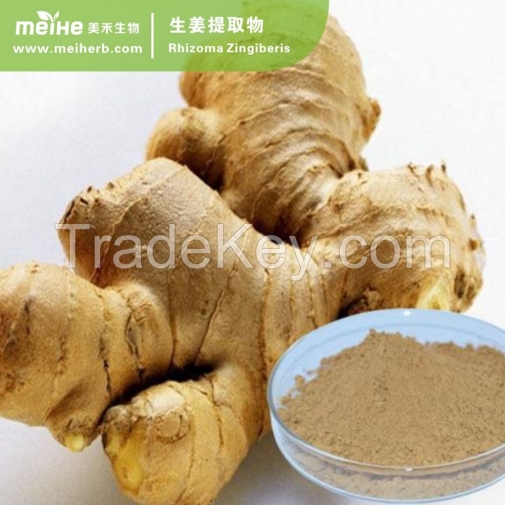 Ginger Extract