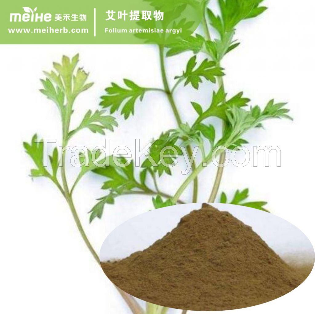 Artemisia Vulgaris Extract