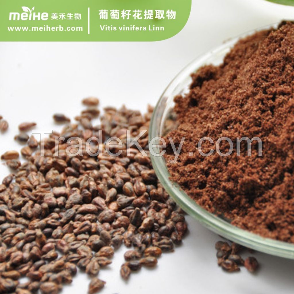 Grape Seed Extract