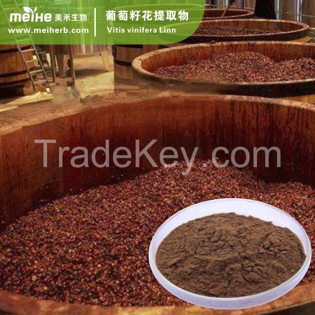 Grape Seed Extract