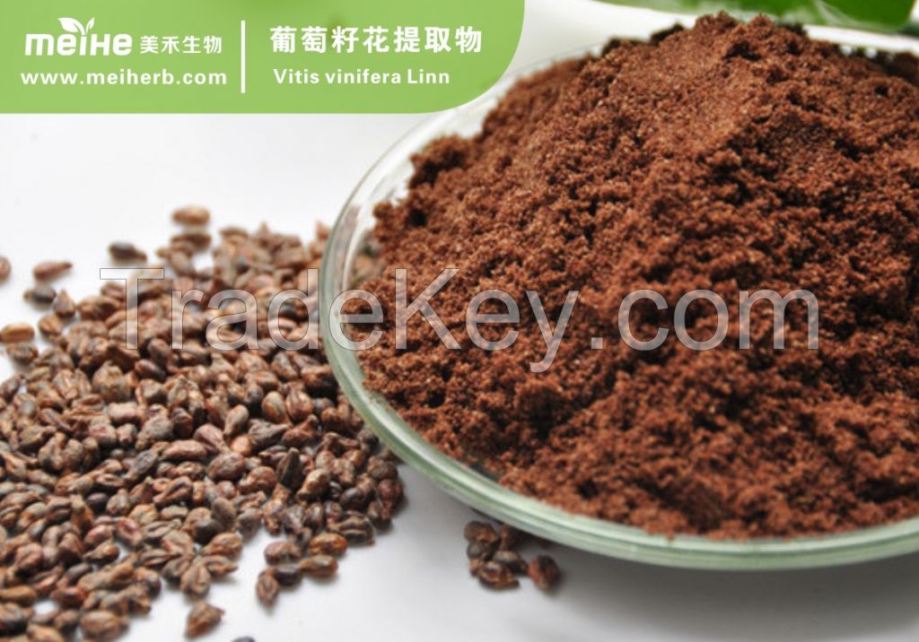 Grape Seed Extract