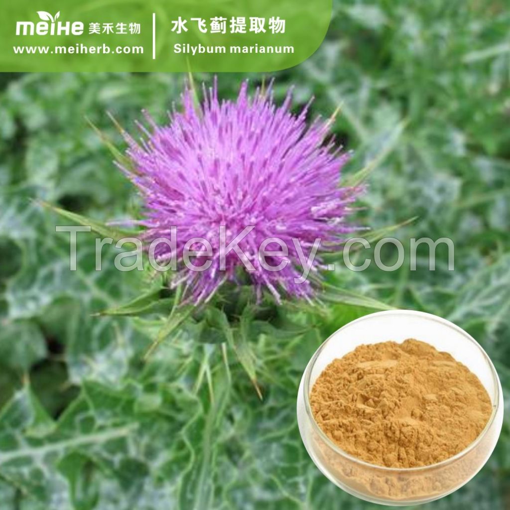 Milk thistle Extract