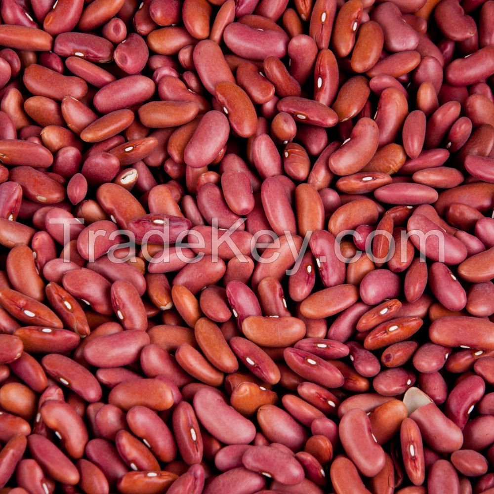 Red Long Kidney Beans