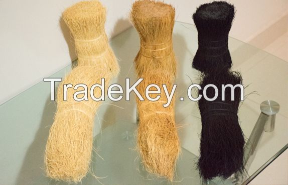 Coir Bristle Fiber