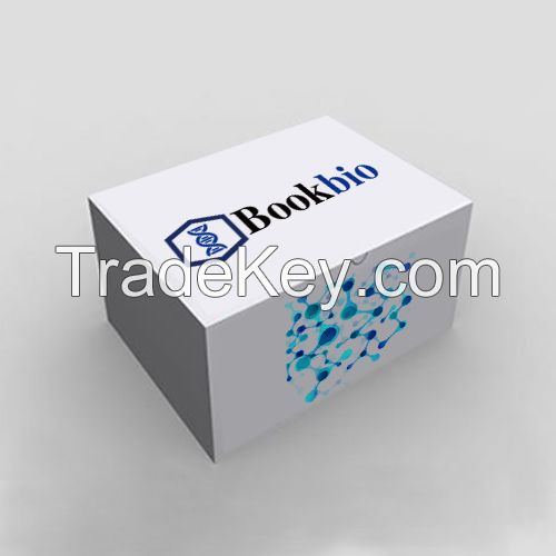 Mouse KYN(Kynurenine) elisa kit