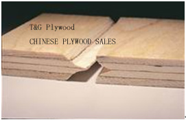 T&amp;G plywood