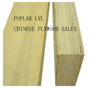 LVL /LVB plywood