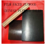 FILM FACED PLYWOOD