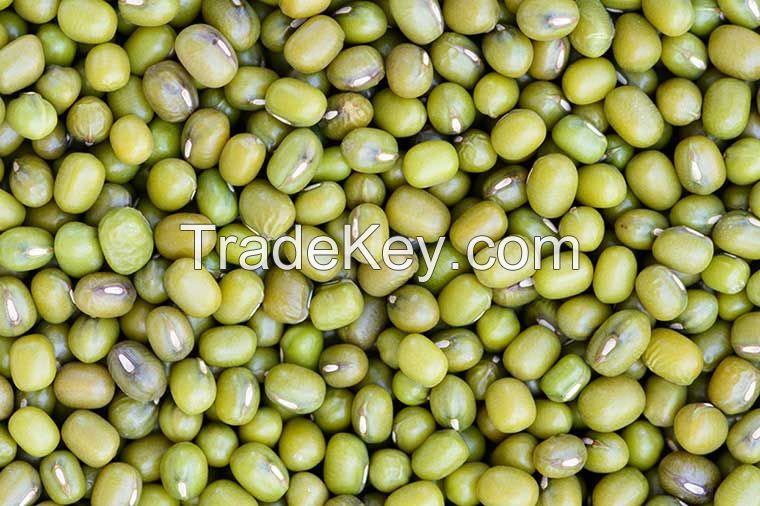 Mung Beans