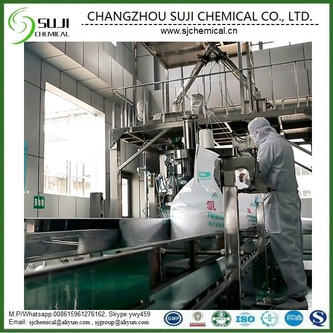 Food Grade Disodium Hydrogen Phosphate/ Disodium Phosphate (DSP), CAS: 7558-79-4