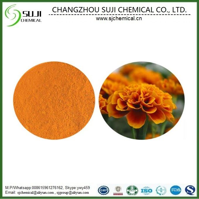 Marigold Extract/Xanthin/Phytoxanthin/Lutein Powder, CAS: 127-40-2