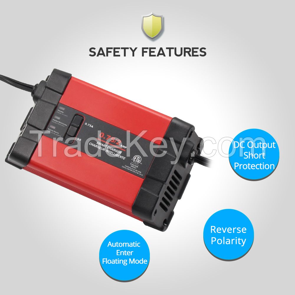 2A Battery Charger with AC Plug for car