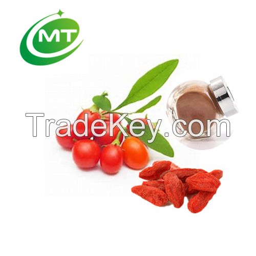 ISO factory NingXia 50% goji berry extract powder/lycium extract