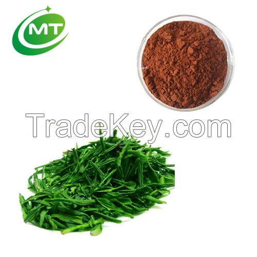 Factory manufacuturer 100% pure natural green tea extract