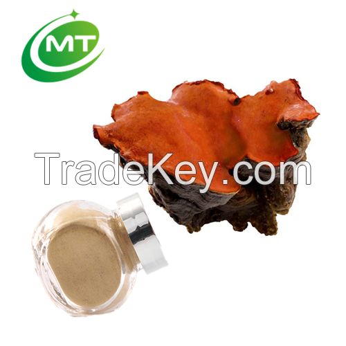 China factory 100% pure Antrodia Camphorata Extract