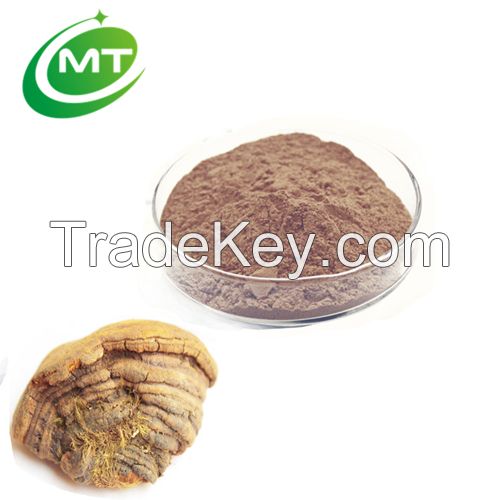  100% pure natural Polysaccharide Phellinus Linteus Extract 