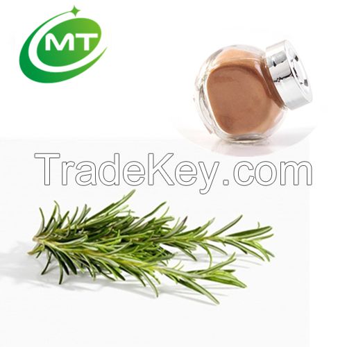 100% natural rosemary extract rosmarinic acid