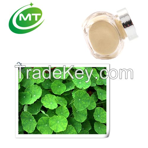 ISO manufacturer gotu kola extract 