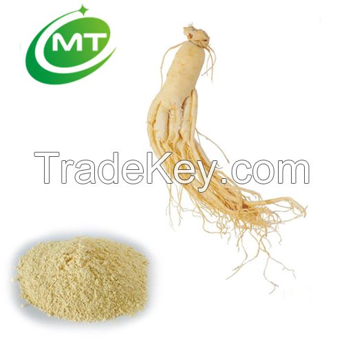 pure natural panax ginseng extract ginsenoside