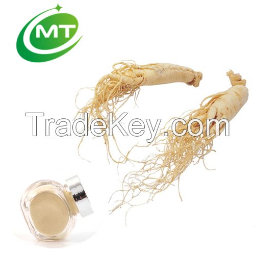 pure natural panax ginseng extract ginsenoside