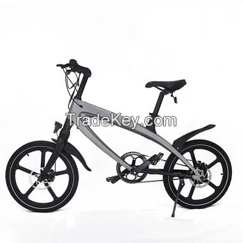 Lehe electric bicycle S1 36v 250w Basic Version