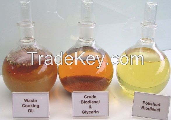 Used Cooking Oil