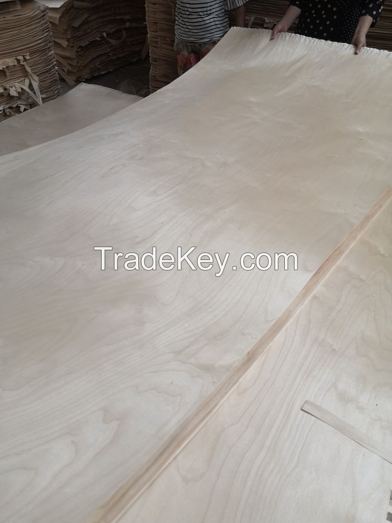 Birch Oak Pine Spruce wood veneers