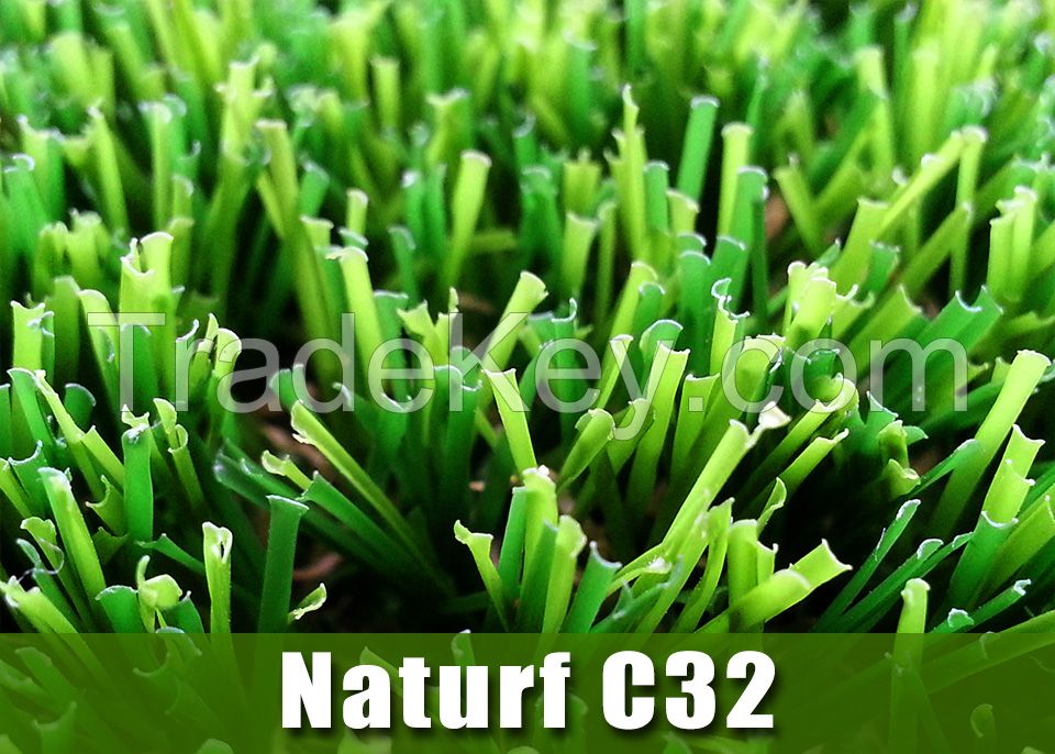 Landscape Grass Naturf C32