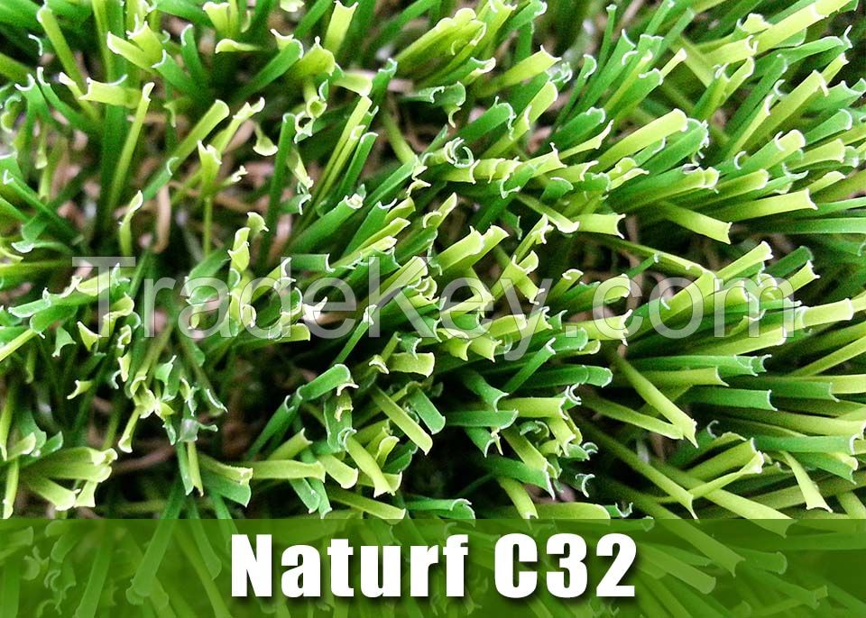 Landscape Grass Naturf C32